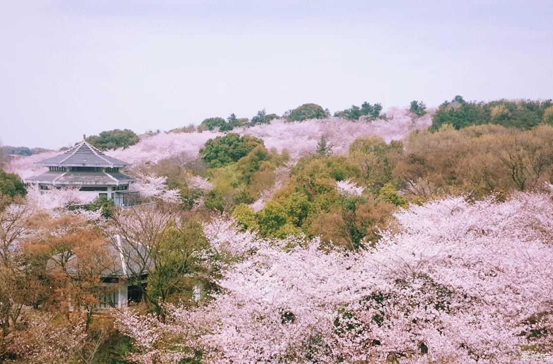 鼋头渚浪漫之旅