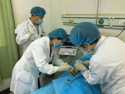  治疗|肾脏病症状有“5字决”，哪些人是高危人群？常见治疗有7类用药