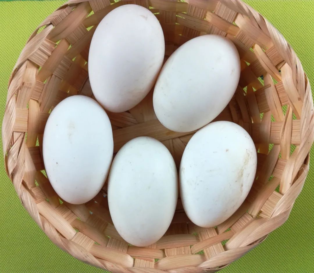 钙质|核桃是骨质疏松的“发物”?想要避免骨质疏松,哪些食物需忌口?