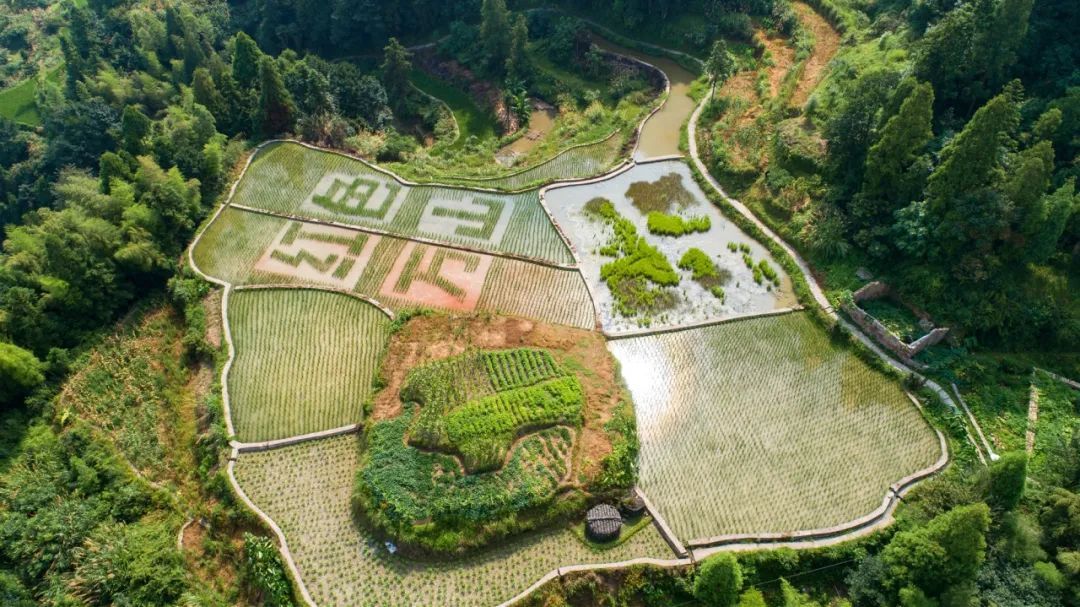 教育基地|青田万山：革命遗址“活”起来 红色旅游“热”起来