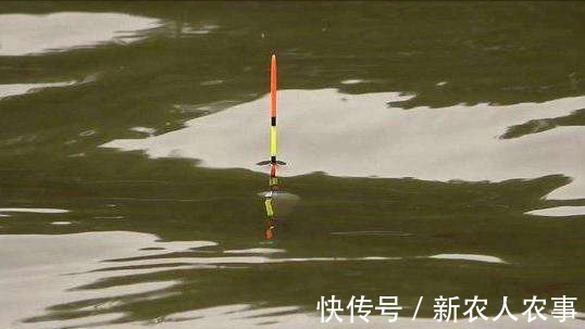 兴趣爱好|男子过年回家闲得无聊去钓鱼,却被打伤缝3针,发帖求网友支招