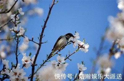 招财童子|孩子若是这3生肖，等于生了一个“招财童子”，以后运旺财也旺