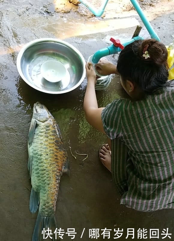 窄窄山洞里，罕见的“大鳞鱼”成群结队，当地人：地下河游出来的