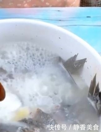 无论炖什么鱼,别只会加水了!加点它,鱼汤更白更香,成本只3元