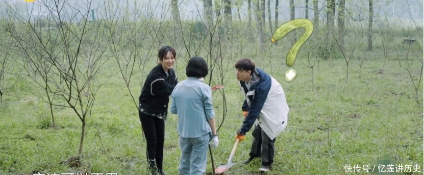 向往|《向往》迎来最真实嘉宾!吐槽节目组直言想回家,张艺兴很照顾她