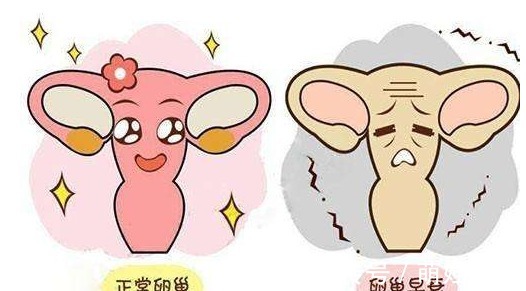 排卵|明明生过一胎,为什么二胎怀不上?