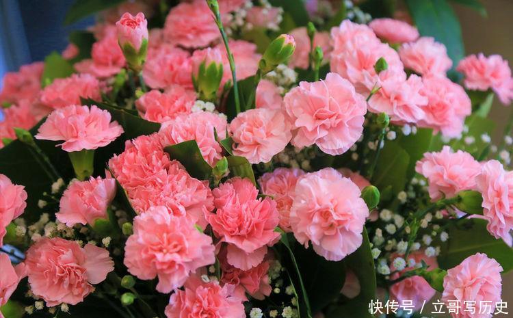 种花|4种花是爆盆能手,清香沁人心脾,特别好