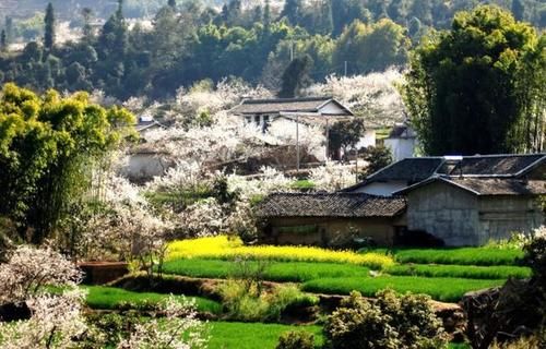 旅游|乡村旅游｜德昌角半村：攀西文旅康养新地标