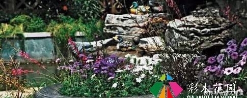 16个花园庭院设计技巧,掌握了还怕设计不出好看的花园吗?