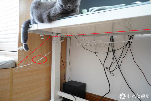 线缆|桌面整理大作战！低成本改造书桌，这些收纳好物你值得拥有！