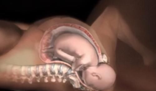 轻松|怀二胎会轻松点吗?这三点原因,每一点都让孕妈感觉害羞!