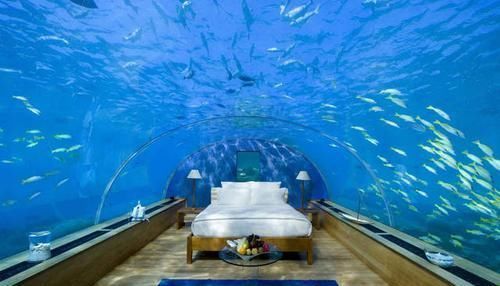 全球最深的水下酒店顾客能与鱼群共眠,一夜收费上万元