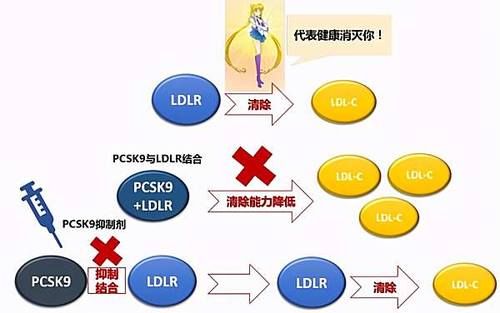 对比他汀，PCSK9抑制剂不但降脂更强还有4大优势，更好保护心血管