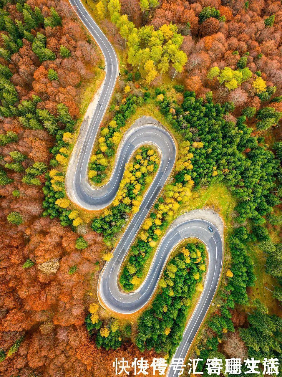 满山|秦岭深处满山红遍，绚丽多彩，惊艳着整个秋天