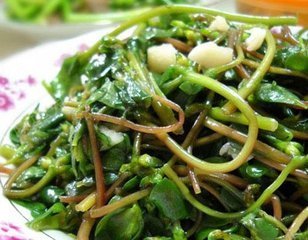 血管内皮|入秋后,不妨多吃此野菜,降血压,调节血糖,杀菌消炎,远离感冒