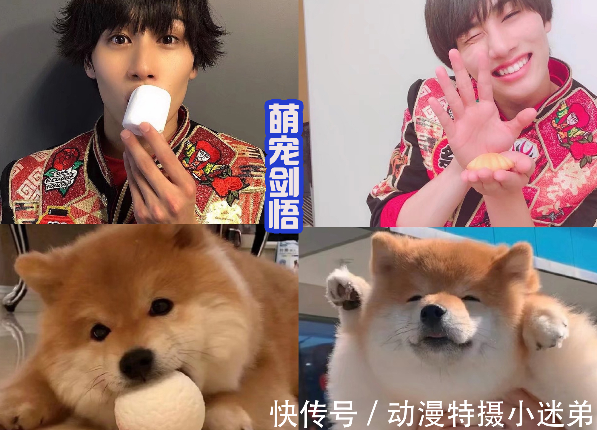 寺坂赖|特利迦的人间体真中剑悟,并不只会思麦路,扮演小丑也很邪魅!