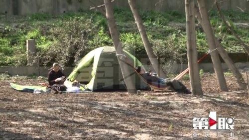 低薪|暖阳太诱人 市民三五成群江边撒欢