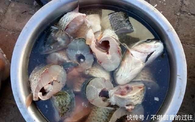 味道|这样炖鱼才是人间极品,鲜嫩可口,味道十足的正,大伙抢着吃