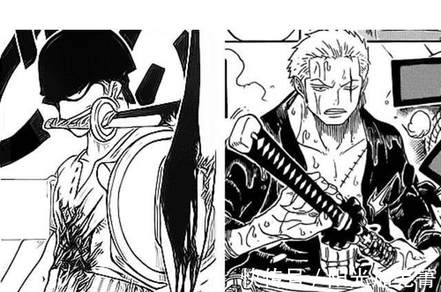 乔巴|海贼王中草帽团的成长变化,全员实力大幅增长,弗兰奇有隐藏料