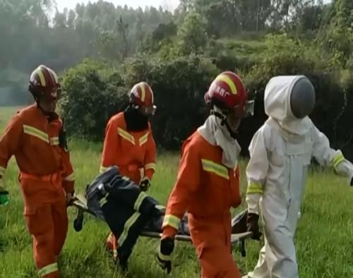 同一家族7人上山扫墓 捅到马蜂窝4人被蜇伤 1人被蜇倒在地 快资讯