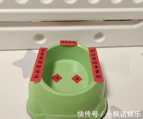 鸭鸡!虎年,被邻居家的春联,笑到肚子疼!