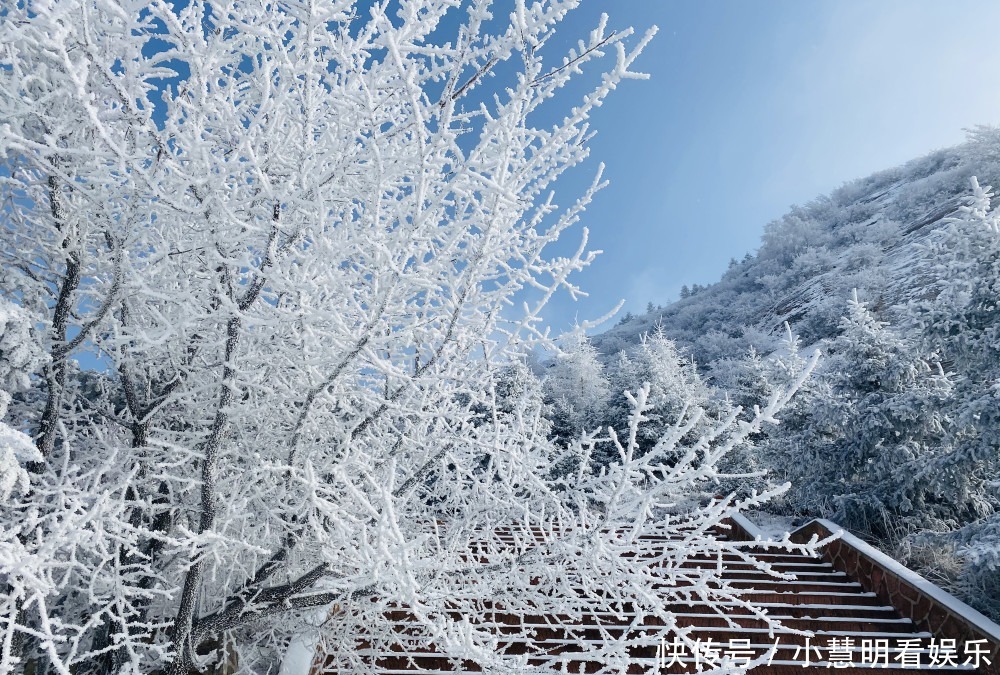 滑雪|冬天千万别来固原玩！滑雪、赏凇、农家乐让人忙不停