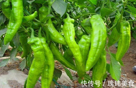 强身健体|人到中年想要身体好,常吃3种食物,降压减脂,抗衰老,早吃早好