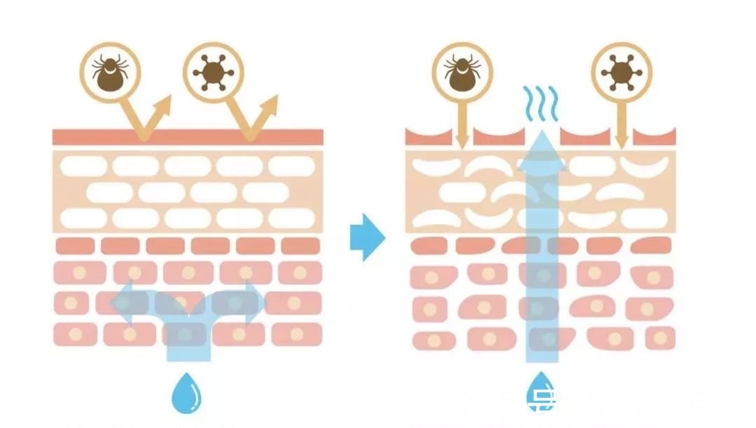 肤质 护肤品没少用,但是皮肤越来越差?认清肤质才是护肤的关键!