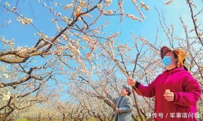 姹紫嫣红 春满中原