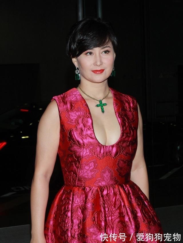 优雅 何超琼身材微胖,“贵妇范”穿搭气场十足,阿姨辈的女人值得借鉴!