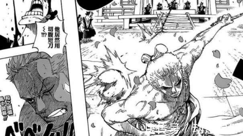 霜月龙马|海贼王1024话:烬只是索隆的经验包,斩龙传说不会消失,秋水回归