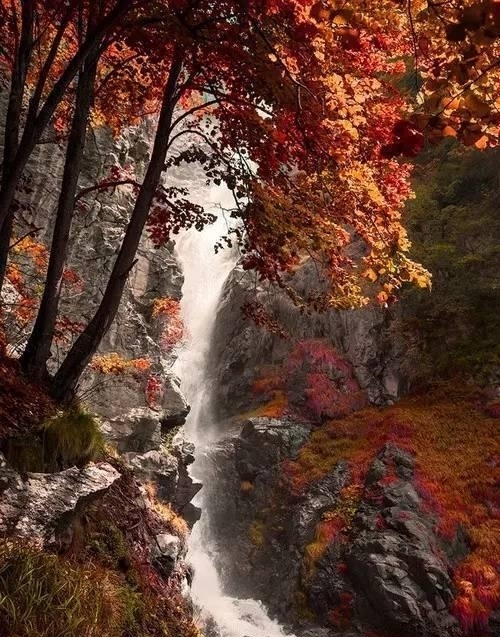 中老年人|50岁以后,不要自作多情