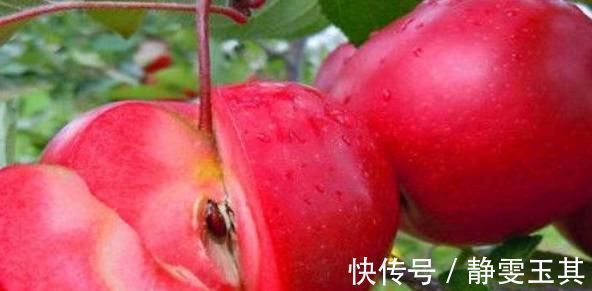 睡眠质量|人至中年,常吃以下食物,不仅补充营养,皱纹淡了,还皮肤细腻