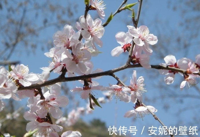自京赴奉先縣詠懷五百字&古代詩歌鑒賞