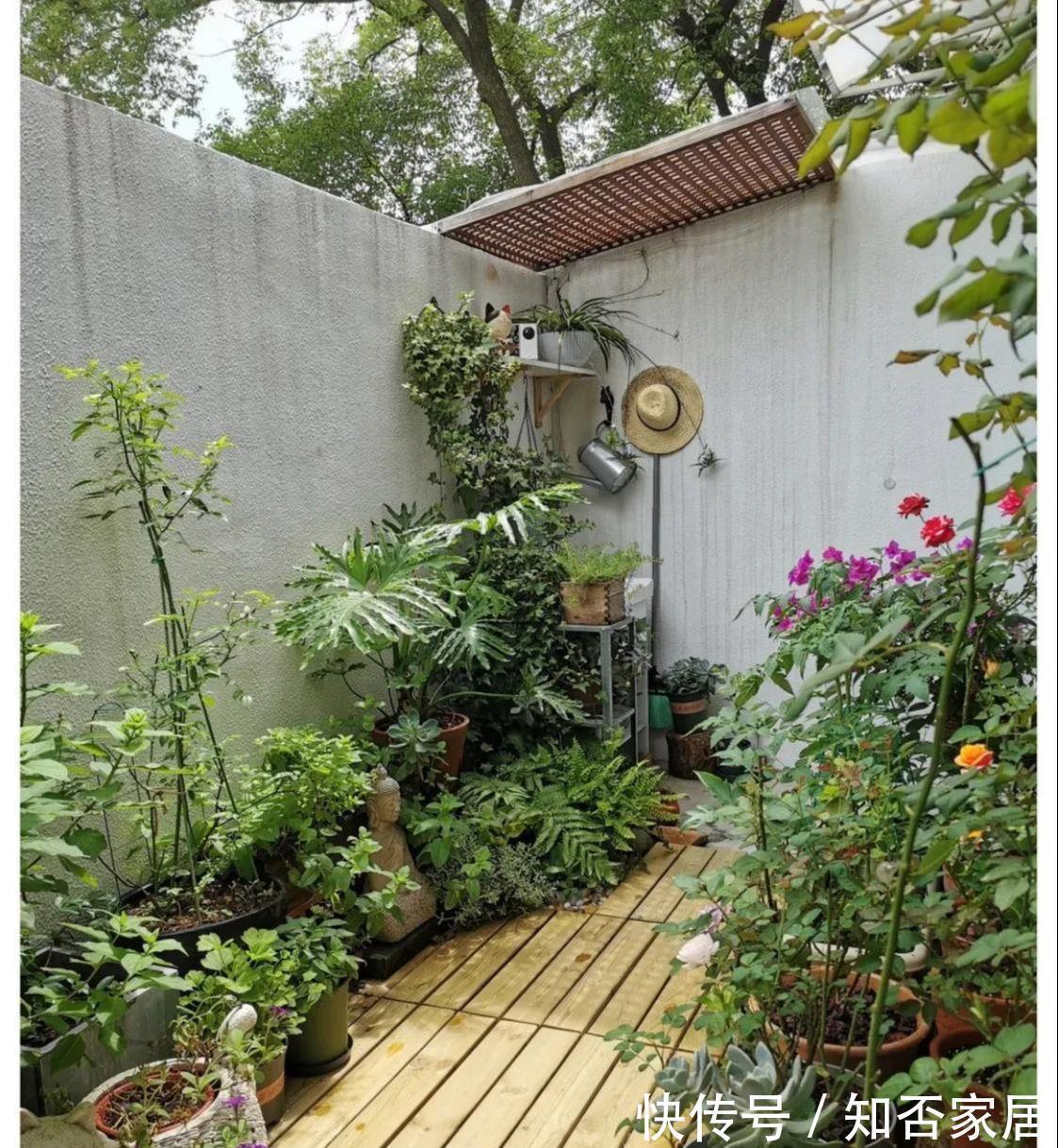 房子|为院子买一楼老破旧，花8.8万改造后，过上了理想中的城市慢生活