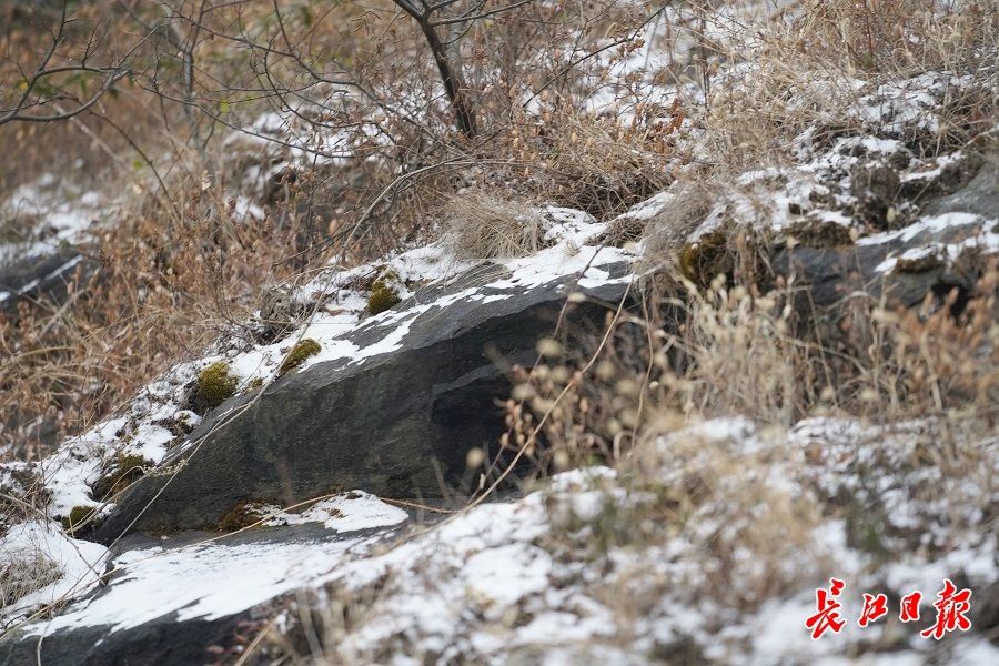 薄雪|木兰山薄雪轻盈