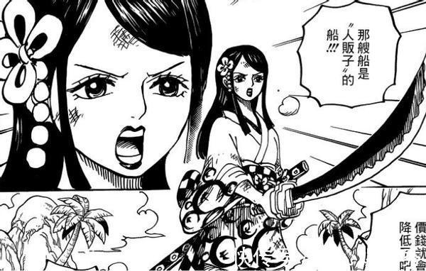 艾尼路|海贼王1004出现神秘人，剪影类似艾尼路！网友：可能是时夫人