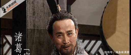 一龙一虎一狗|三国里诸葛家族风光无限，一龙一虎一狗，后代一个比一个牛！