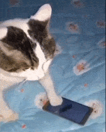 |搞笑GIF段子:我:你这光呼了,没吸啊