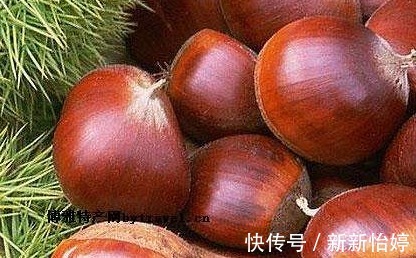 美容养颜|人到中年想养生,几种食物少不了,美容抗衰,润肤养颜,早吃早好