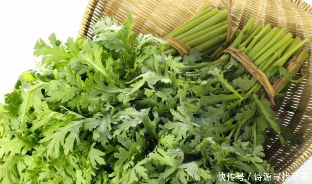 菊苣|我们的祖先如何对抗痛风有3种神奇植物,还有1种常见野草!