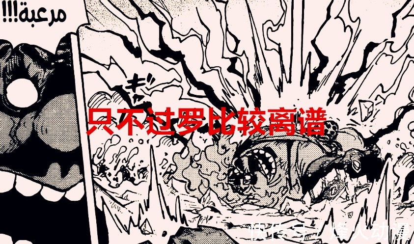 四皇大妈|海贼王1040话:罗觉醒后,单果实变双果实,悬赏50亿果然名不虚传