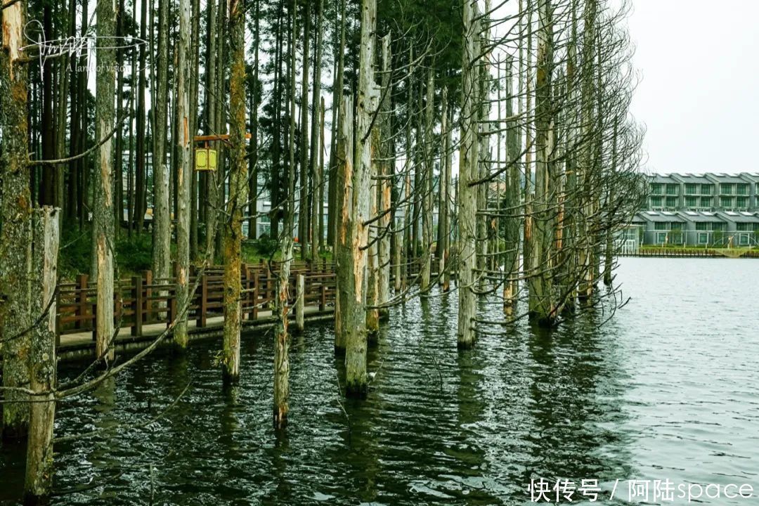 中年|在明月山发现武功山的“核心景区界碑”,可见两者的关系很不一般