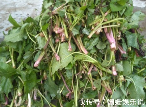 血管神經性水腫|此野菜食用價值和藥用價值很高，秋季吃可解酒護肝、祛風散寒