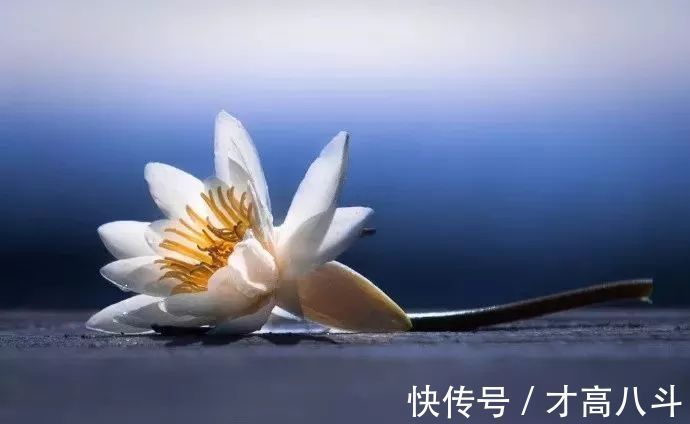 寄内!十位诗人写给妻子的诗,有怀念,有情话,有惋惜!