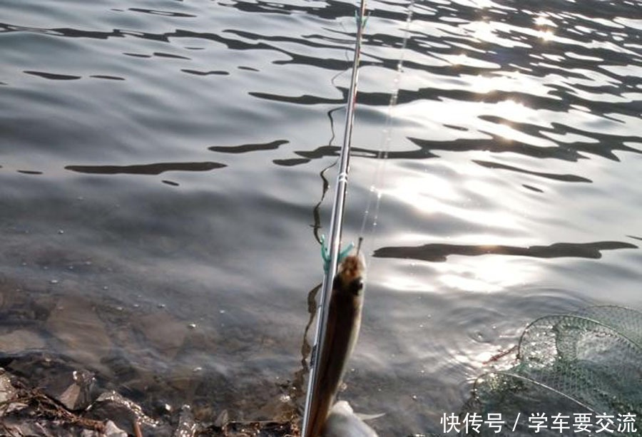 白条闹钩,被钓友所唾弃,总结7种应对方法