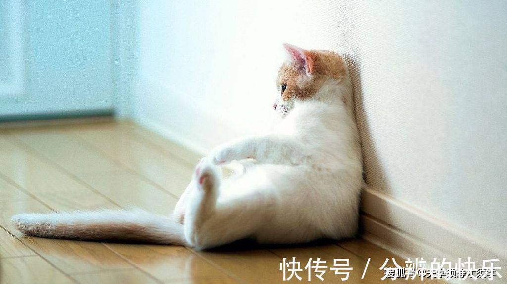 |内涵段子:我下班刚到家,看到媳妇正在梳妆打扮,看上去很是迷人!