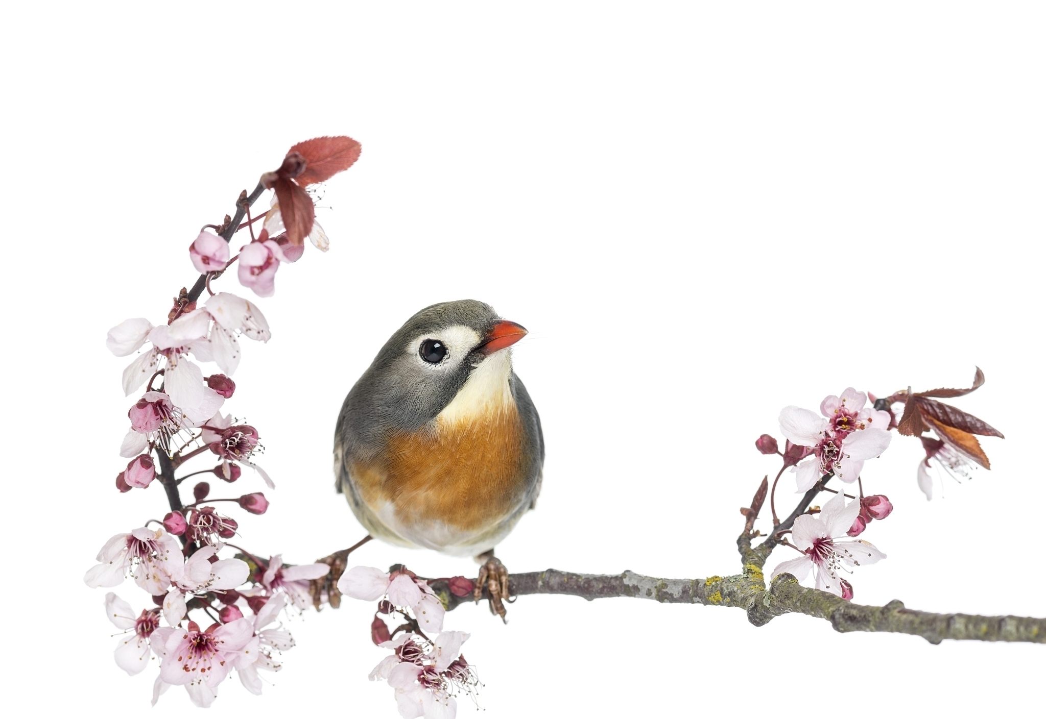 诗人&他是晚唐著名诗人!大唐最受人喜爱的诗人!十首经典写尽人世之情