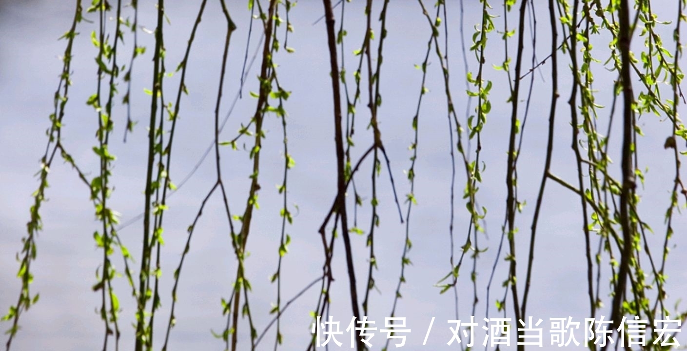 春思$范成大写在惊蛰的《秦楼月》:远景是春色如许,近景是春思绵密