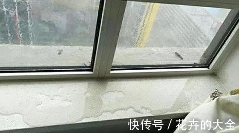 厨房|新房装修以为自己什么都懂，入住后才发现12个致命问题！为时已晚